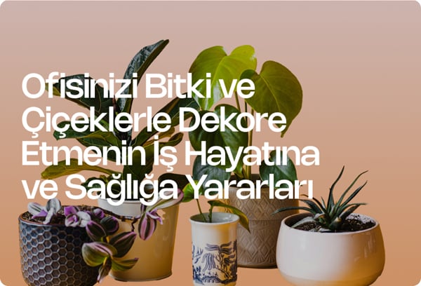 Ofisinizi Bitki ve Çiçeklerle Dekore Etmenin İş Hayatına ve Sağlığa Yararları