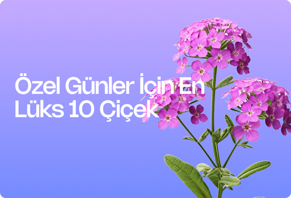 Özel Günler İçin En Lüks 10 Çiçek