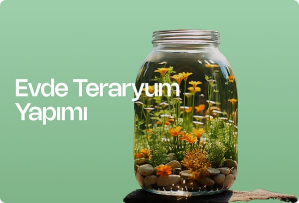 Evde Teraryum Yapımı