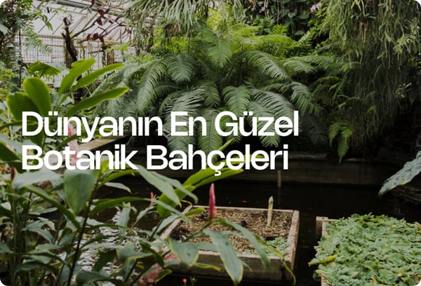 Dünyanın En Güzel Botanik Bahçeleri