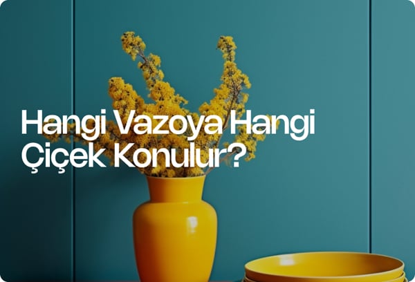 Hangi Vazoya Hangi Çiçek Konulur?