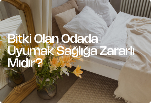 Bitki Olan Odada Uyumak Sağlığa Zararlı Mıdır?