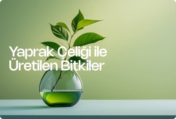 Yaprak Çeliği ile Üretilen Bitkiler