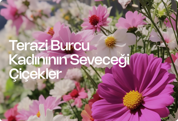 Terazi Burcu Kadınının Seveceği Çiçekler