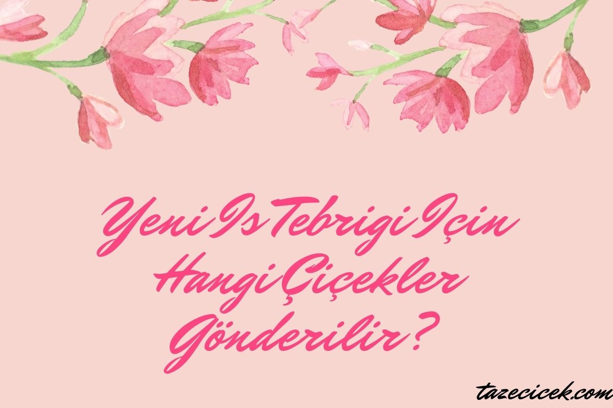 Yeni İş Tebriği İçin Hangi Çiçekler Gönderilir?